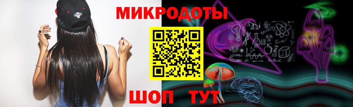 Галлюциногенные грибы Psilocybine cubensis Реутов